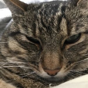 Meet your Posher, Noriko